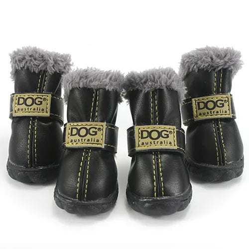 Pawfect Winter Boots