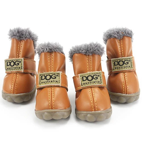 Pawfect Winter Boots