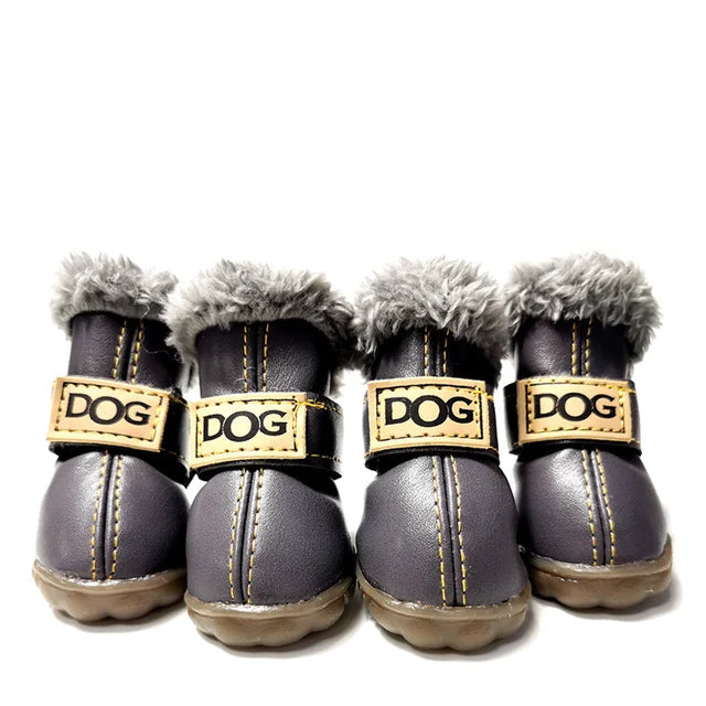 Pawfect Winter Boots