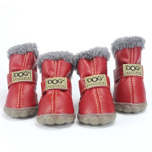 Pawfect Winter Boots