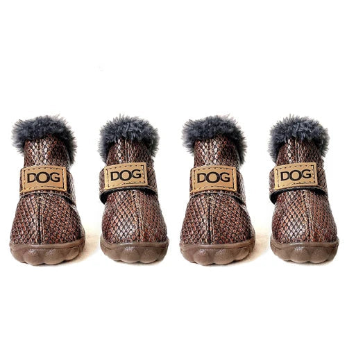 Pawfect Winter Boots