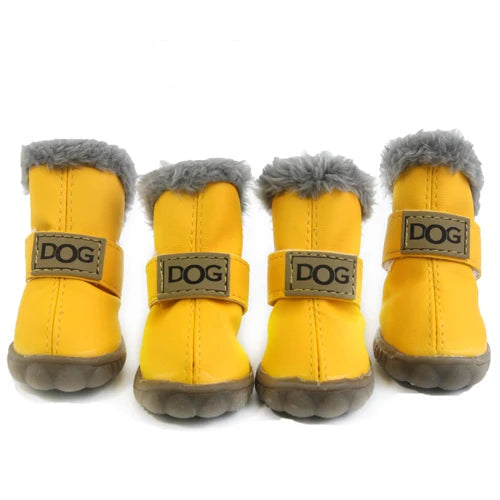 Pawfect Winter Boots