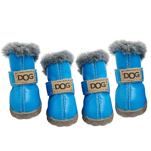 Pawfect Winter Boots