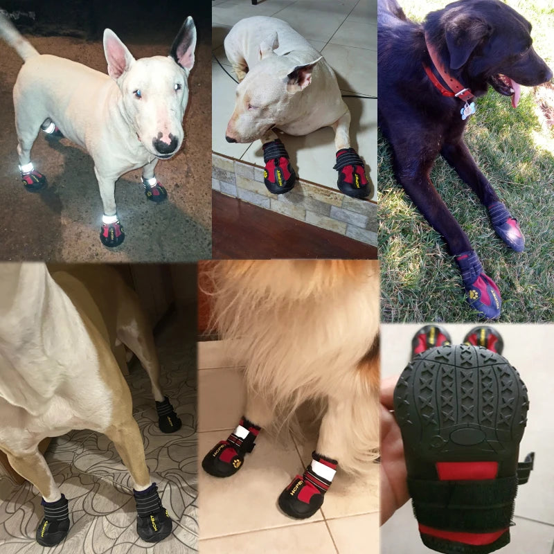 PawGuard Protective Dog Boots
