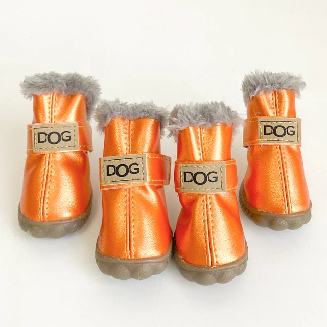Pawfect Winter Boots