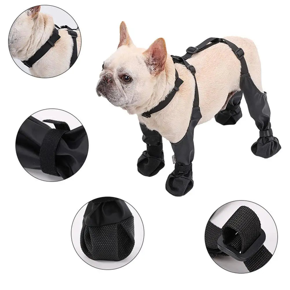 PawSentry All-Weather Suit