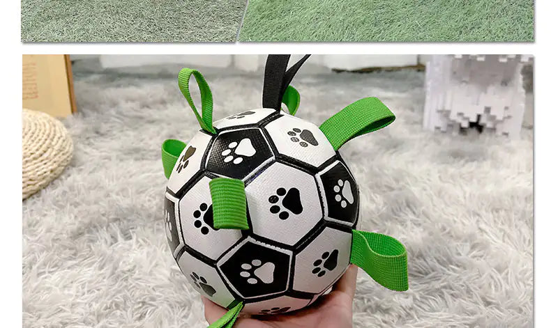 PawPal Soccer Ball