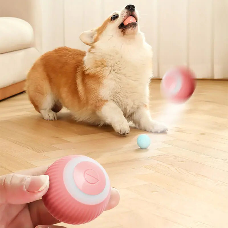 Pawfect Play Ball 2