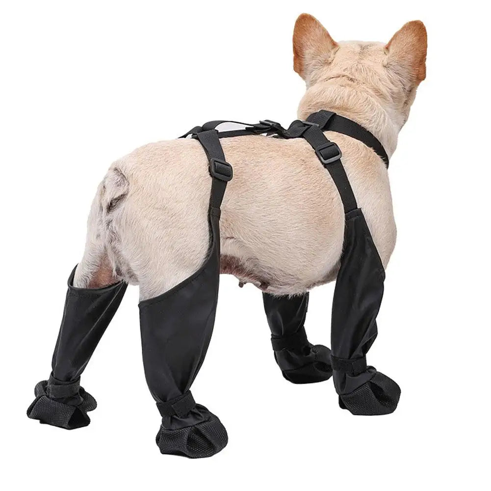 PawSentry All-Weather Suit