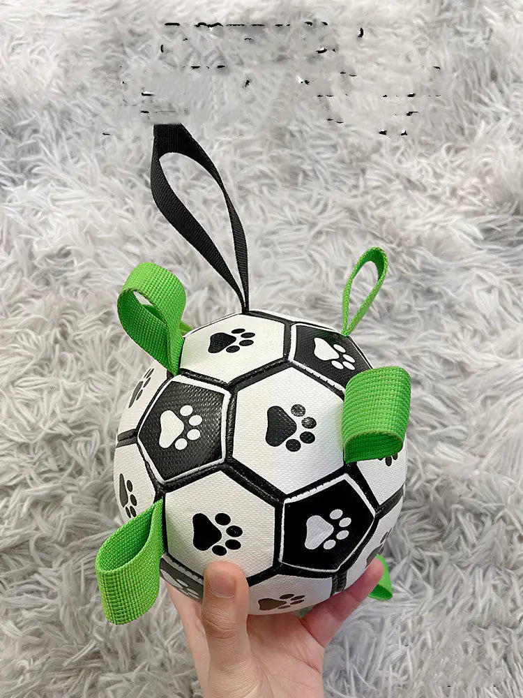 PawPal Soccer Ball