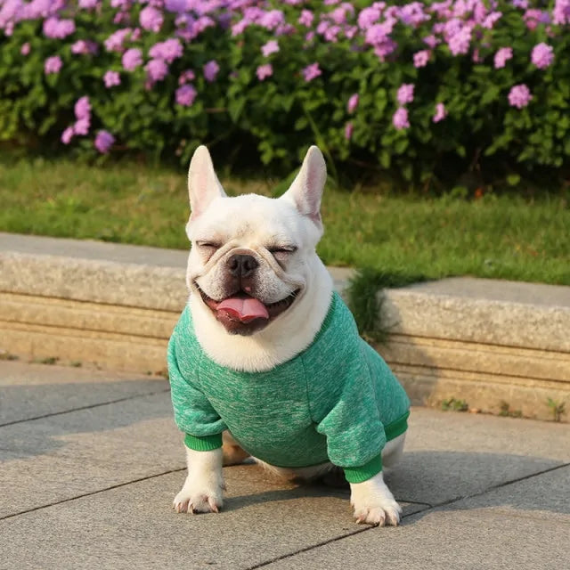 CozyPaw Fleece Dog Sweater