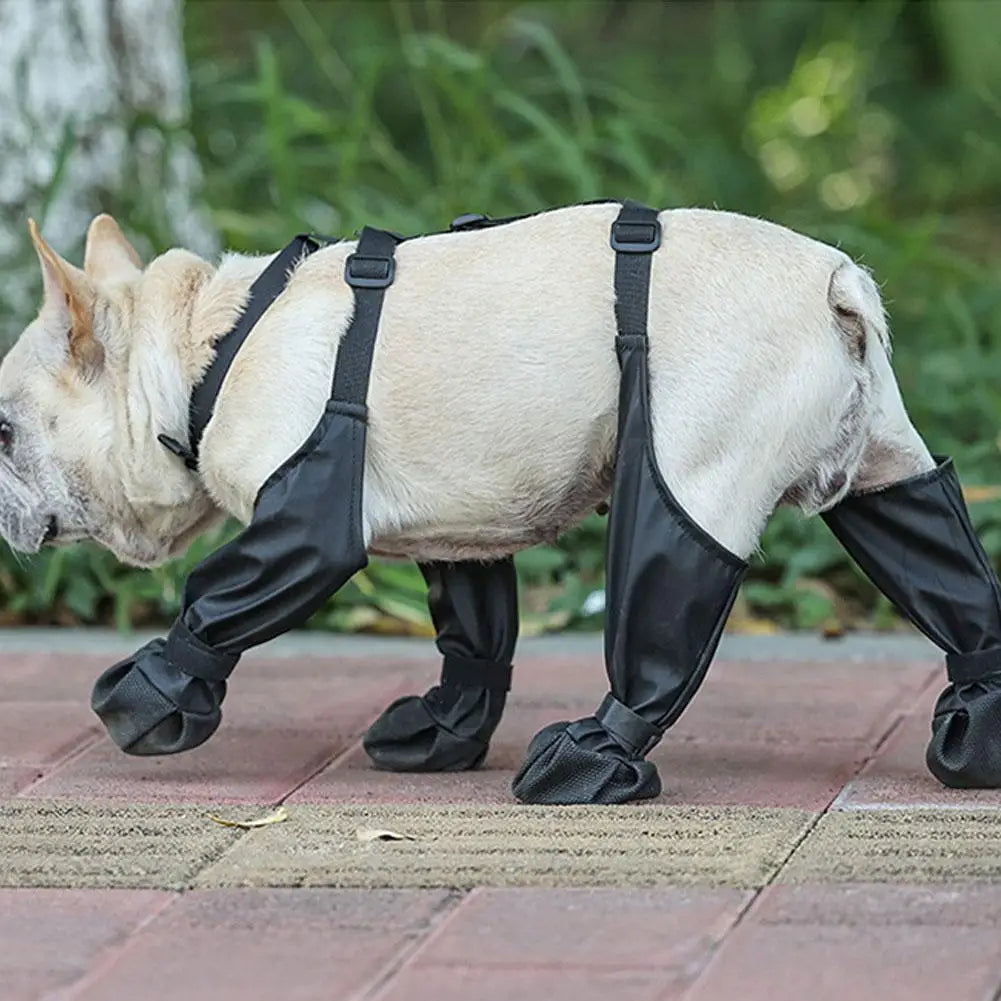 PawSentry All-Weather Suit