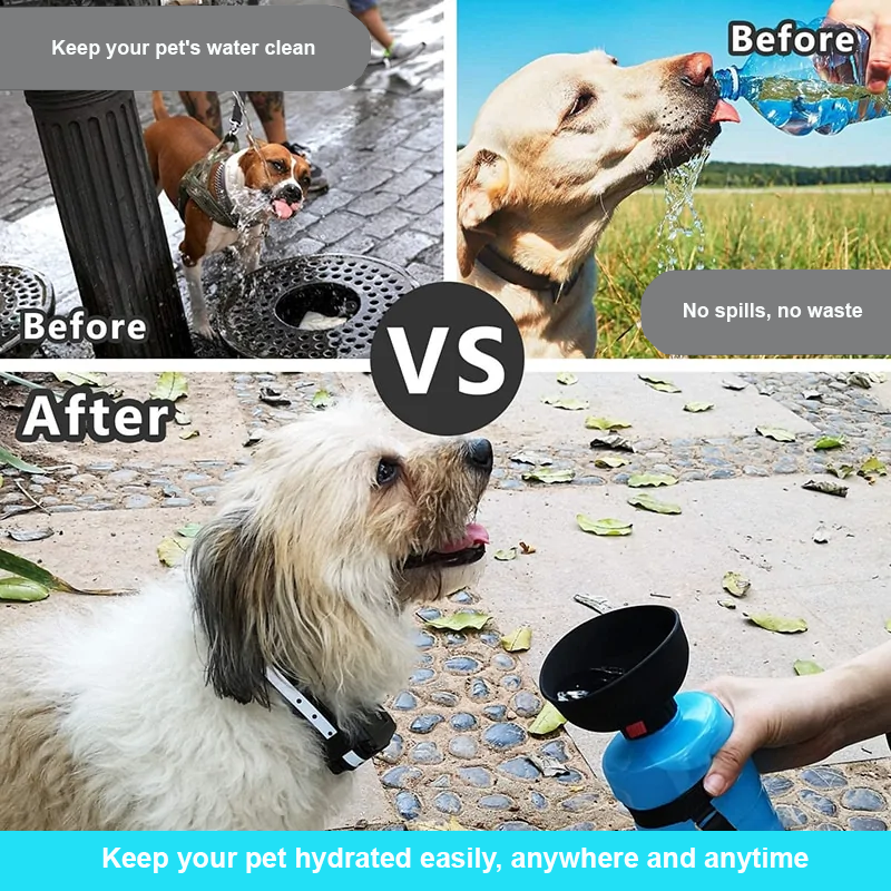 Foldable Pet Feeder Bowl