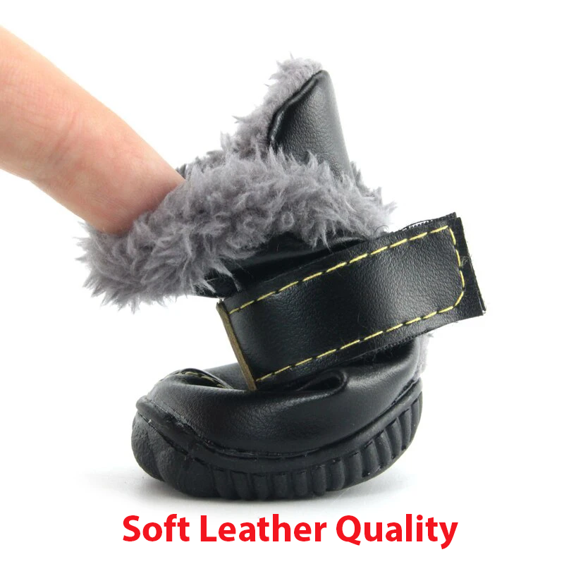 Pawfect Winter Boots
