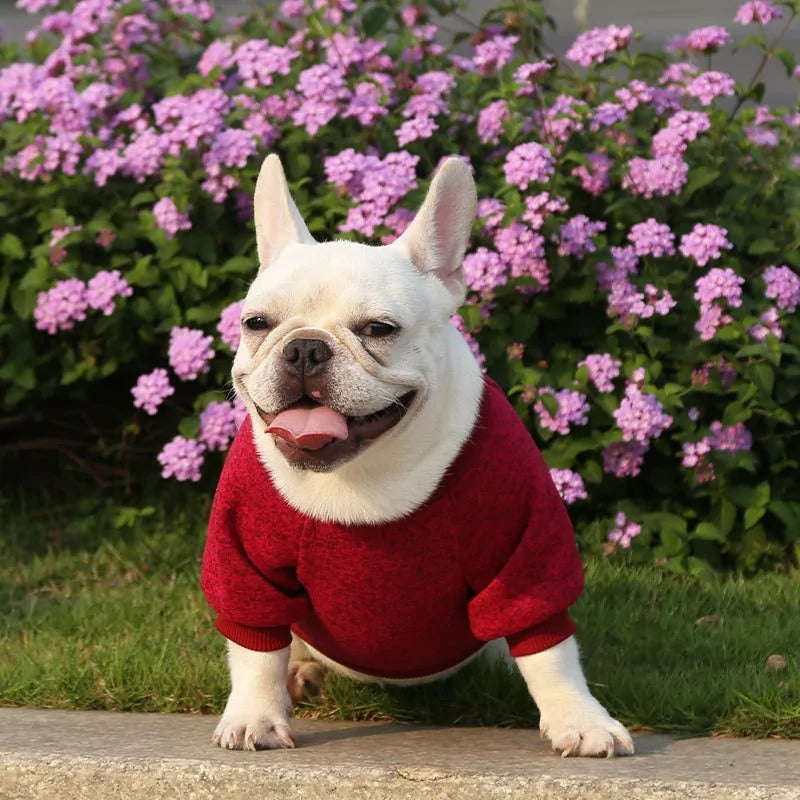 CozyPaw Fleece Dog Sweater