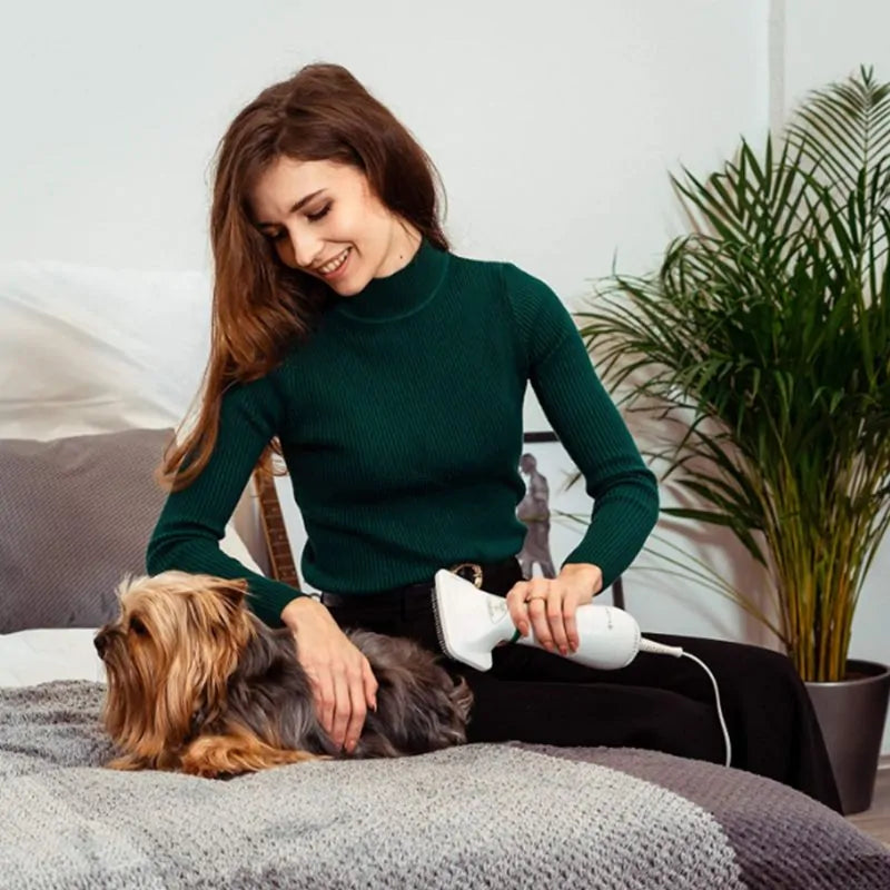 PawDry Pro Grooming Dryer & Brush