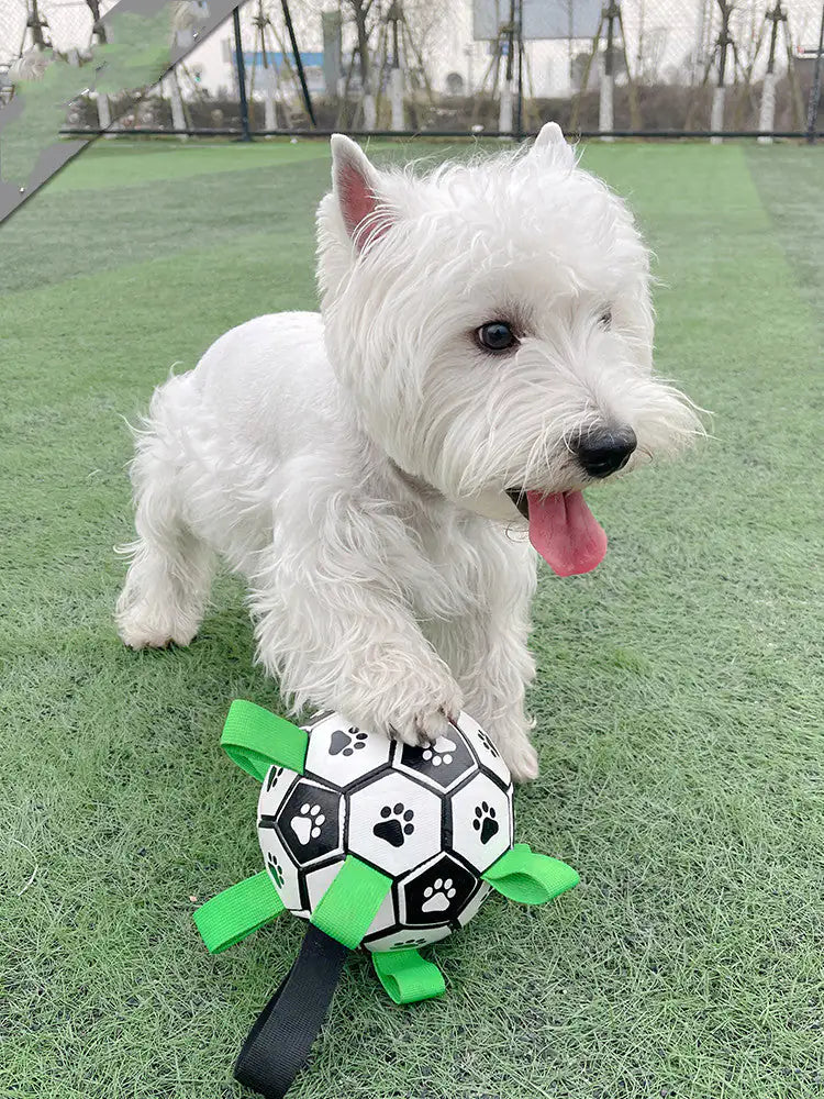 PawPal Soccer Ball