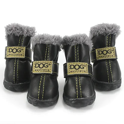 Pawfect Winter Boots