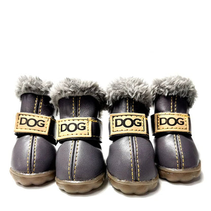 Pawfect Winter Boots