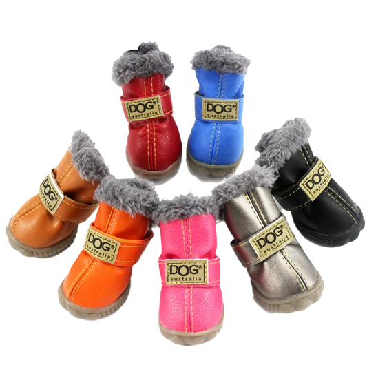 Pawfect Winter Boots