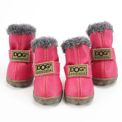Pawfect Winter Boots