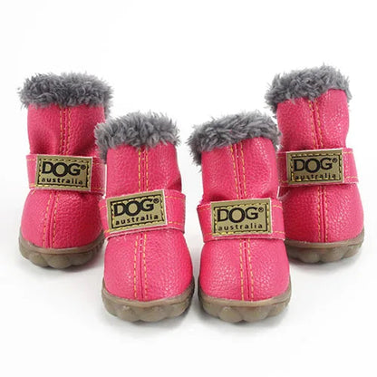 Pawfect Winter Boots