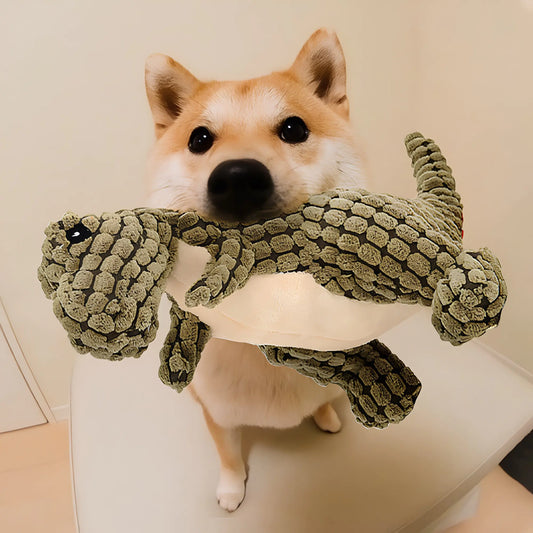 Dino Buddy