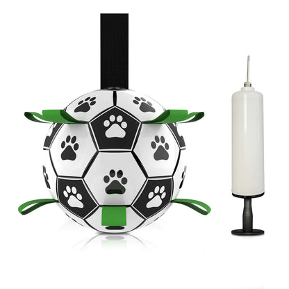PawPal Soccer Ball