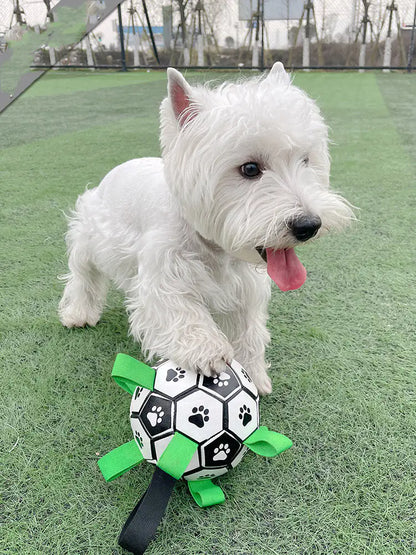 PawPal Soccer Ball