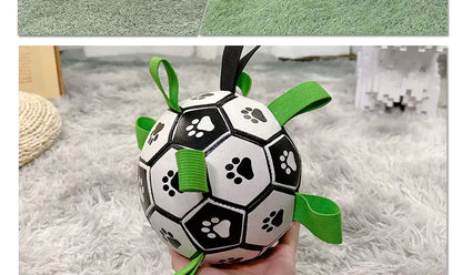 PawPal Soccer Ball