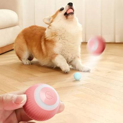 Pawfect Play Ball 2