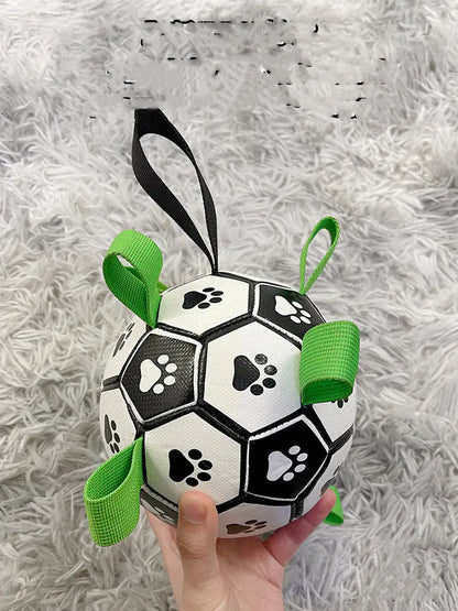 PawPal Soccer Ball