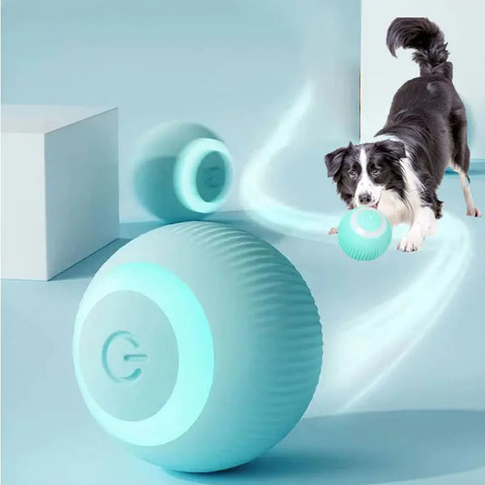 Pawfect Play Ball 2