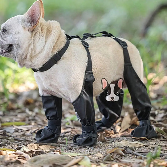 PawSentry All-Weather Suit